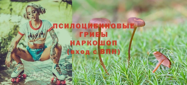 ALPHA-PVP Баксан