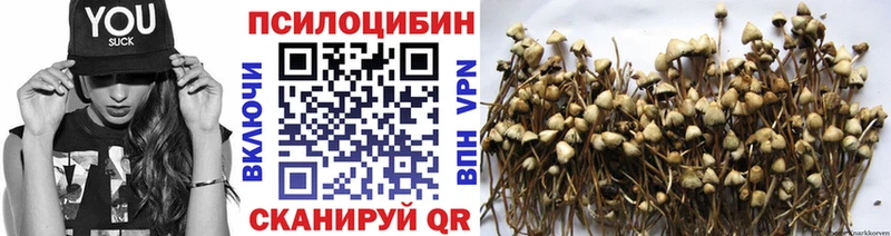 как найти закладки  Заполярный  Псилоцибиновые грибы ЛСД 
